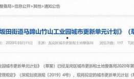 深圳市网民爆料新闻报道,最新新闻报道聚焦城市热点事件